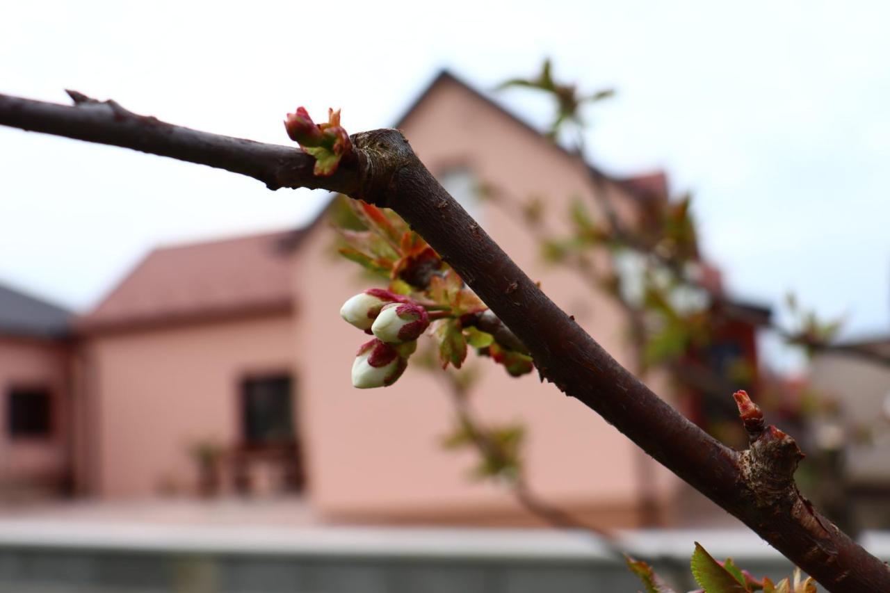 Agroturizam Opg Jakopovic Caglin ภายนอก รูปภาพ